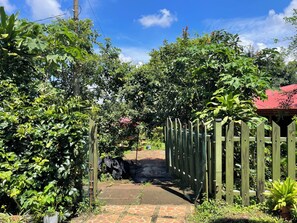 A garden pathway leading to a wooden gate, surrounded by lush greenery and a clear blue sky.