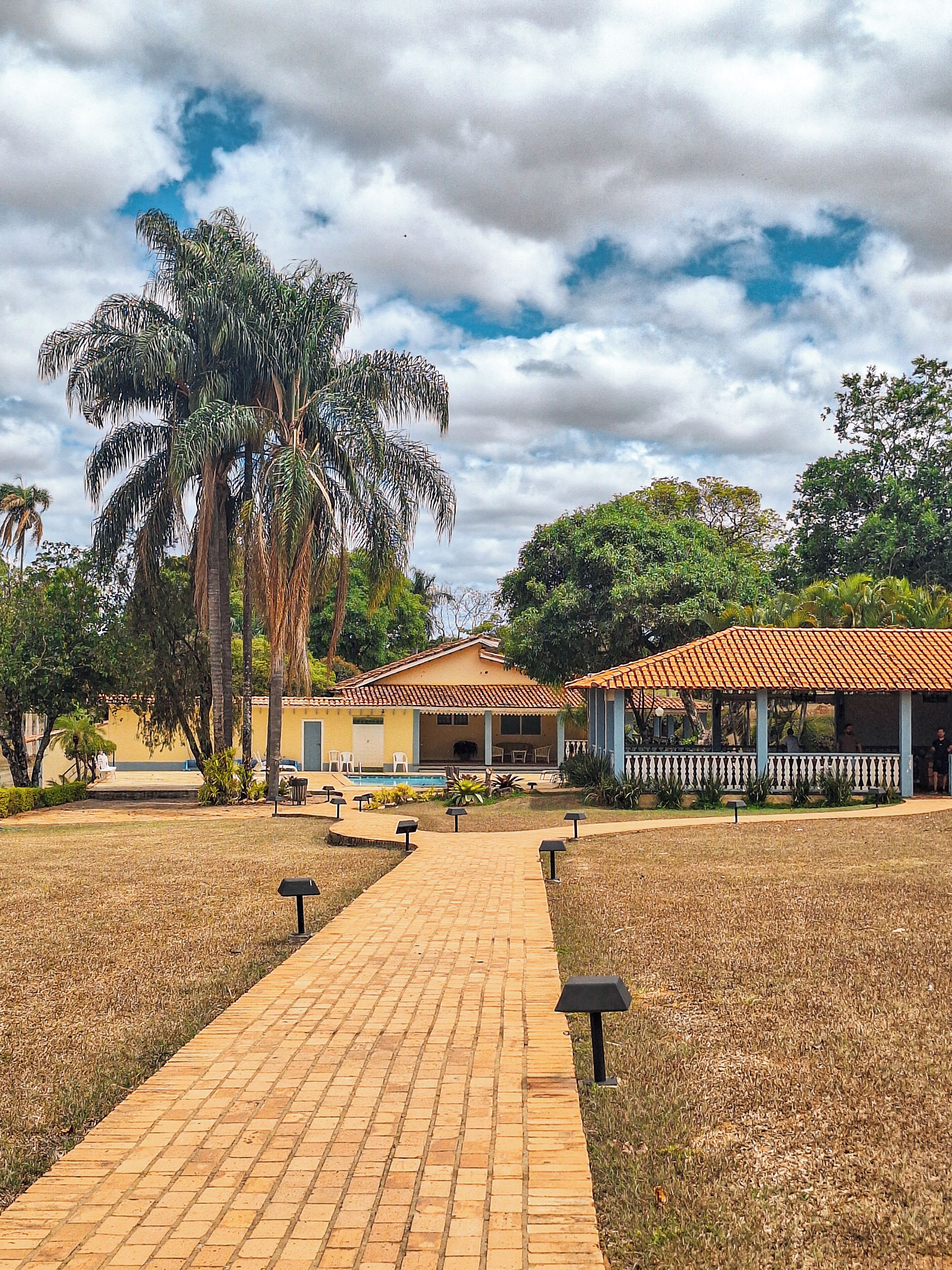 Un sendero pavimentado que conduce a un edificio con techo de tejas, rodeado de palmeras y follaje.