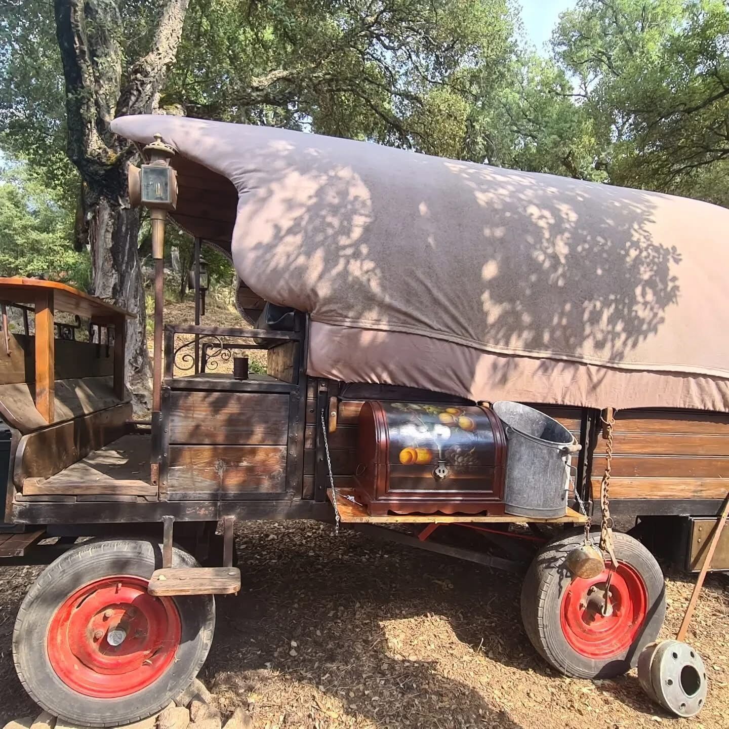 Ein Oldtimer-LKW mit einem abgedeckten Laderaum, einer hölzernen Sitzbank und einem Metallkübel.