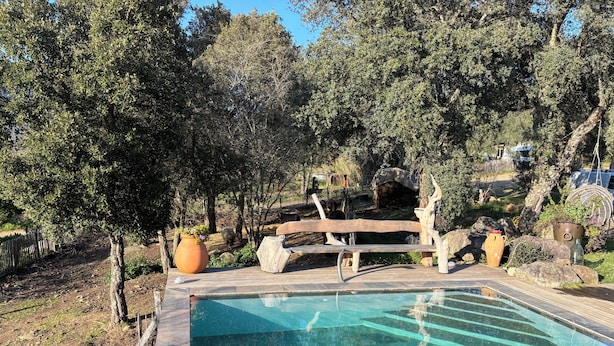 A clear swimming pool with a wooden deck, surrounded by trees and a rustic fence.