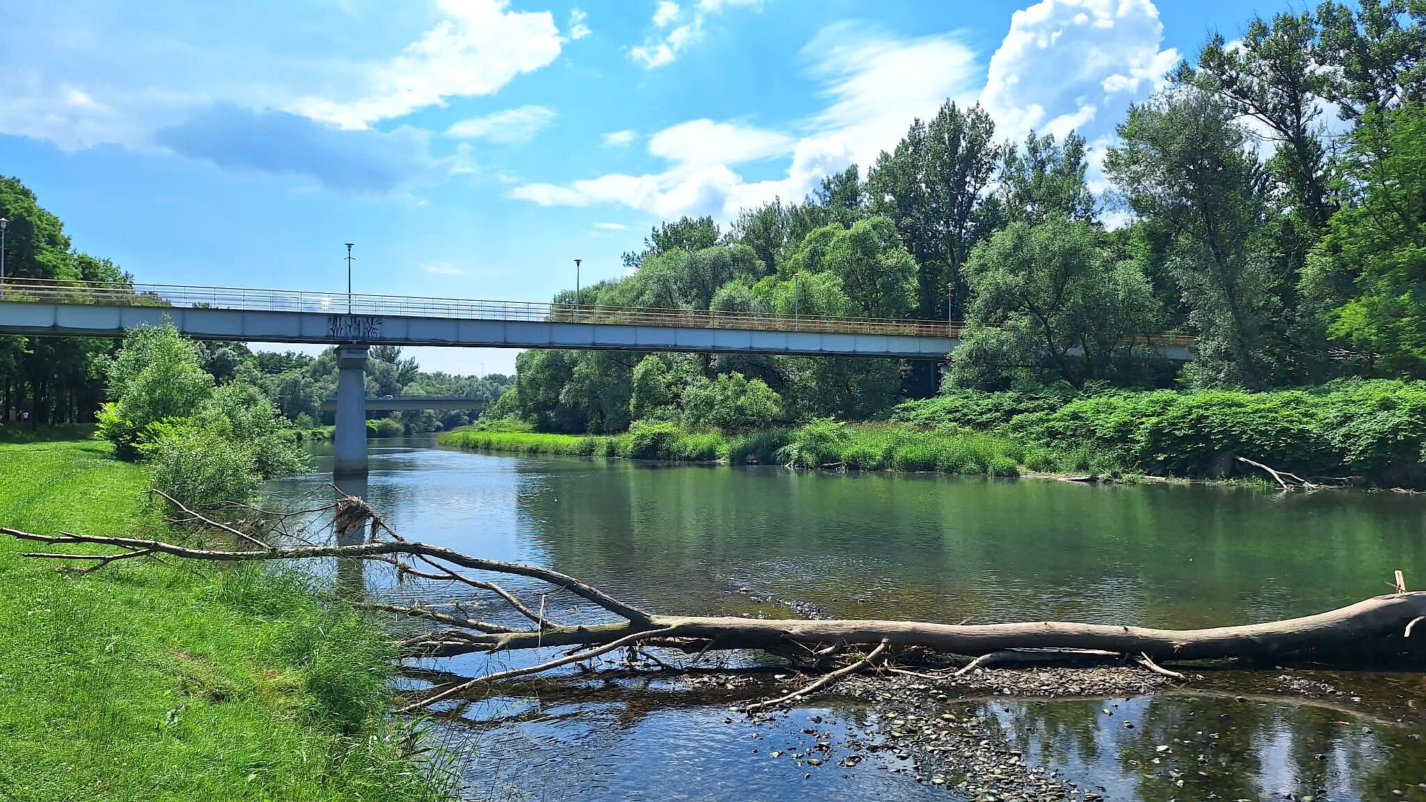 A bridge over a river with greenery on both sides.
