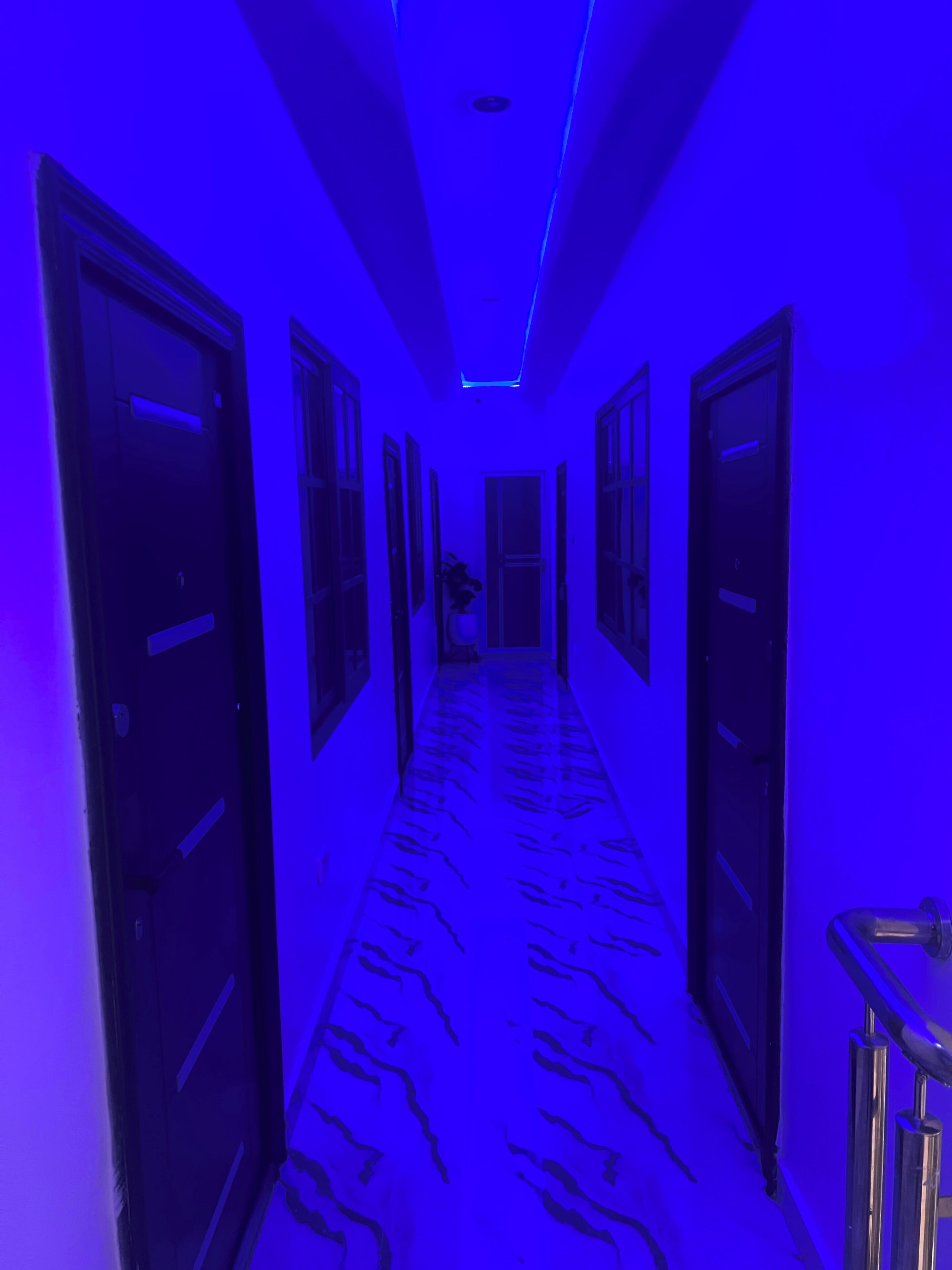 A hallway with doors on both sides, a patterned floor, and a ceiling light.