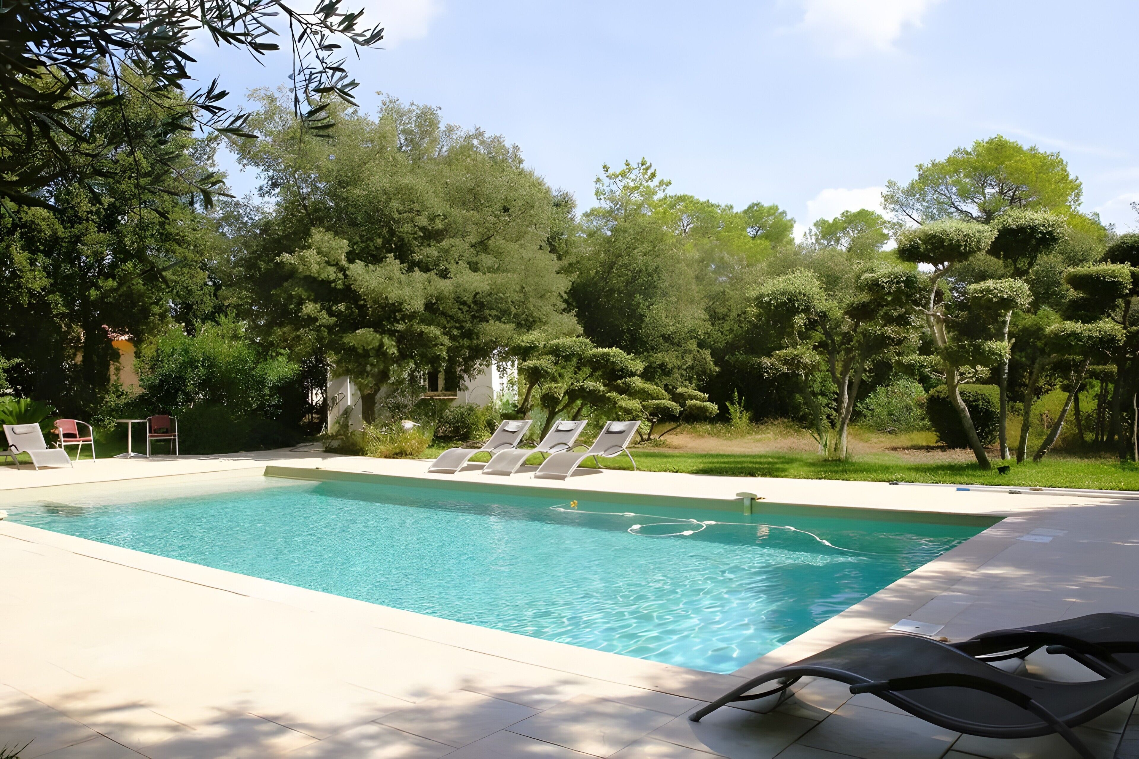 Una piscina rectangular con agua azul cristalina, rodeada por un solárium con baldosas. Varias tumbonas están alineadas a lo largo del borde de la piscina.