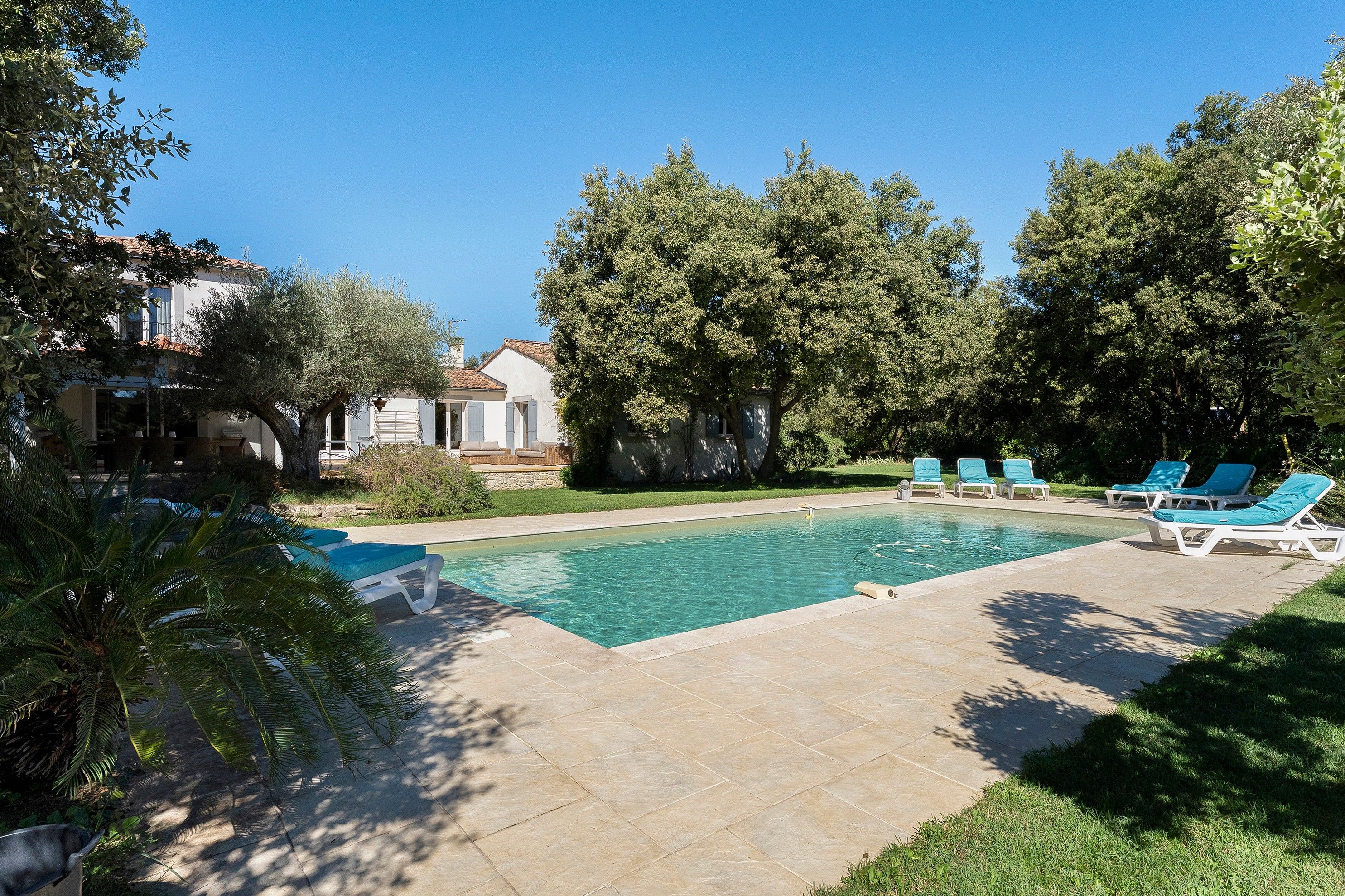 Ein Swimmingpool mit Liegestühlen, umgeben von Bäumen und einem Gebäude mit einem Ziegeldach.
