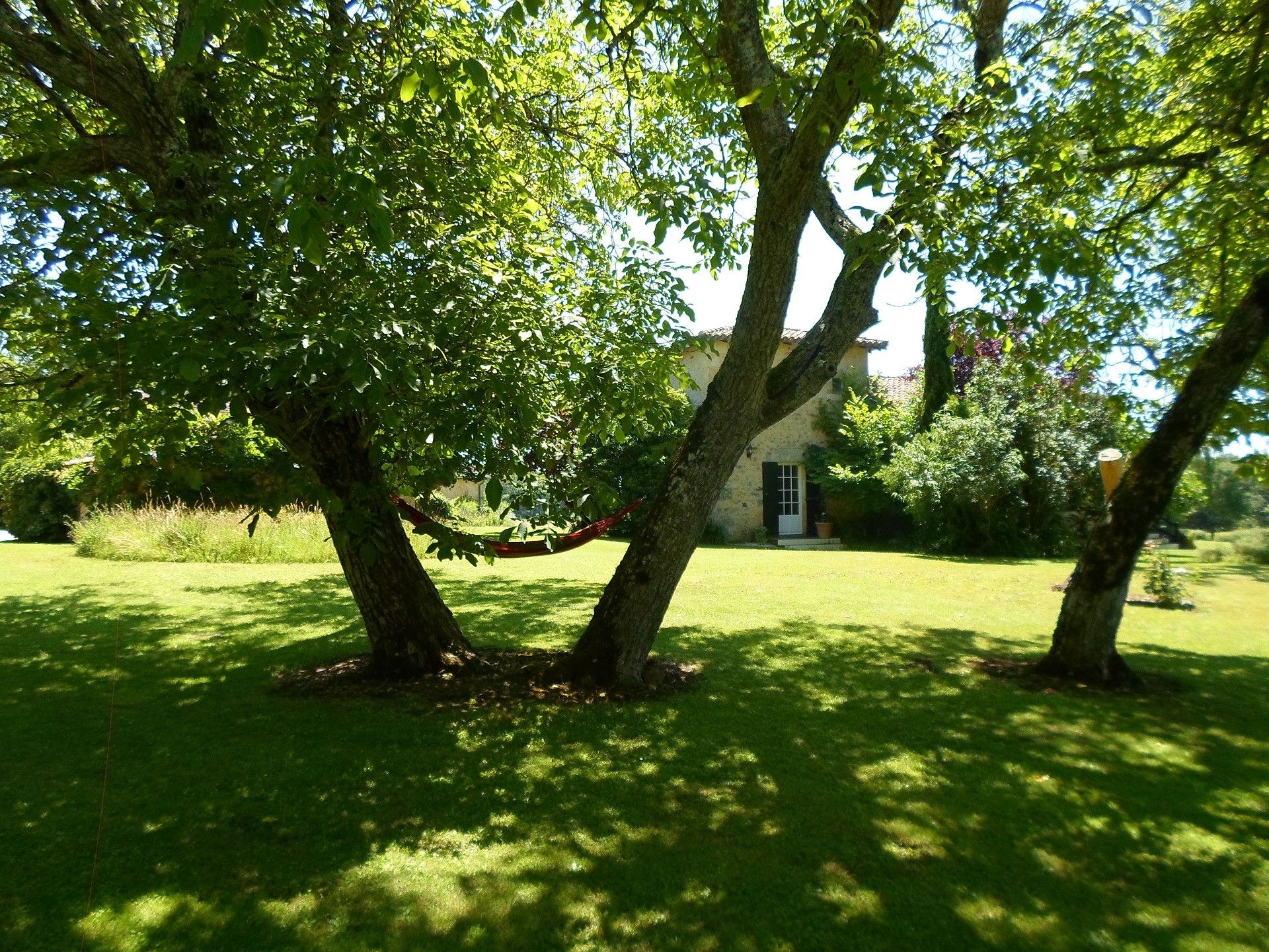 A house surrounded by lush green trees and grass.