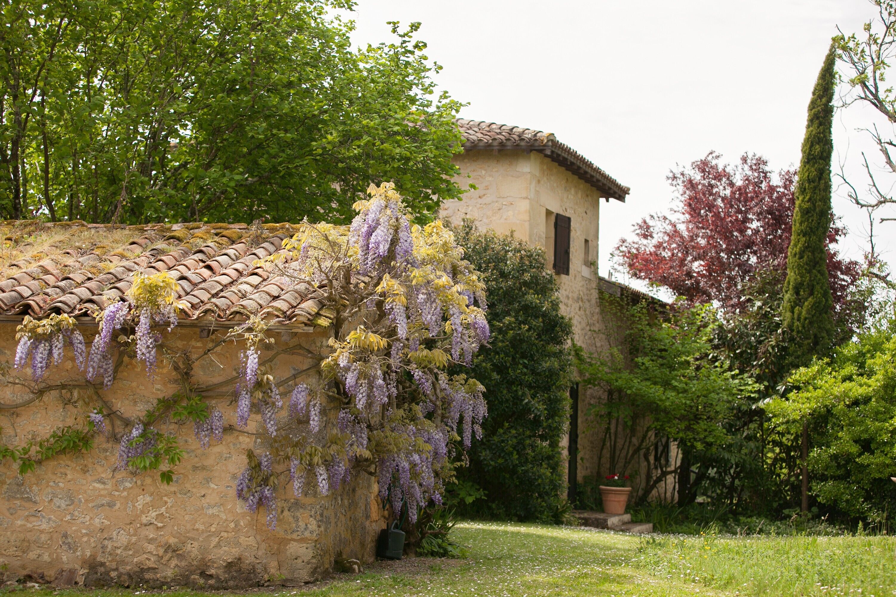 Un edificio rústico de piedra con techo de tejas, rodeado de exuberante vegetación y enredaderas florales.