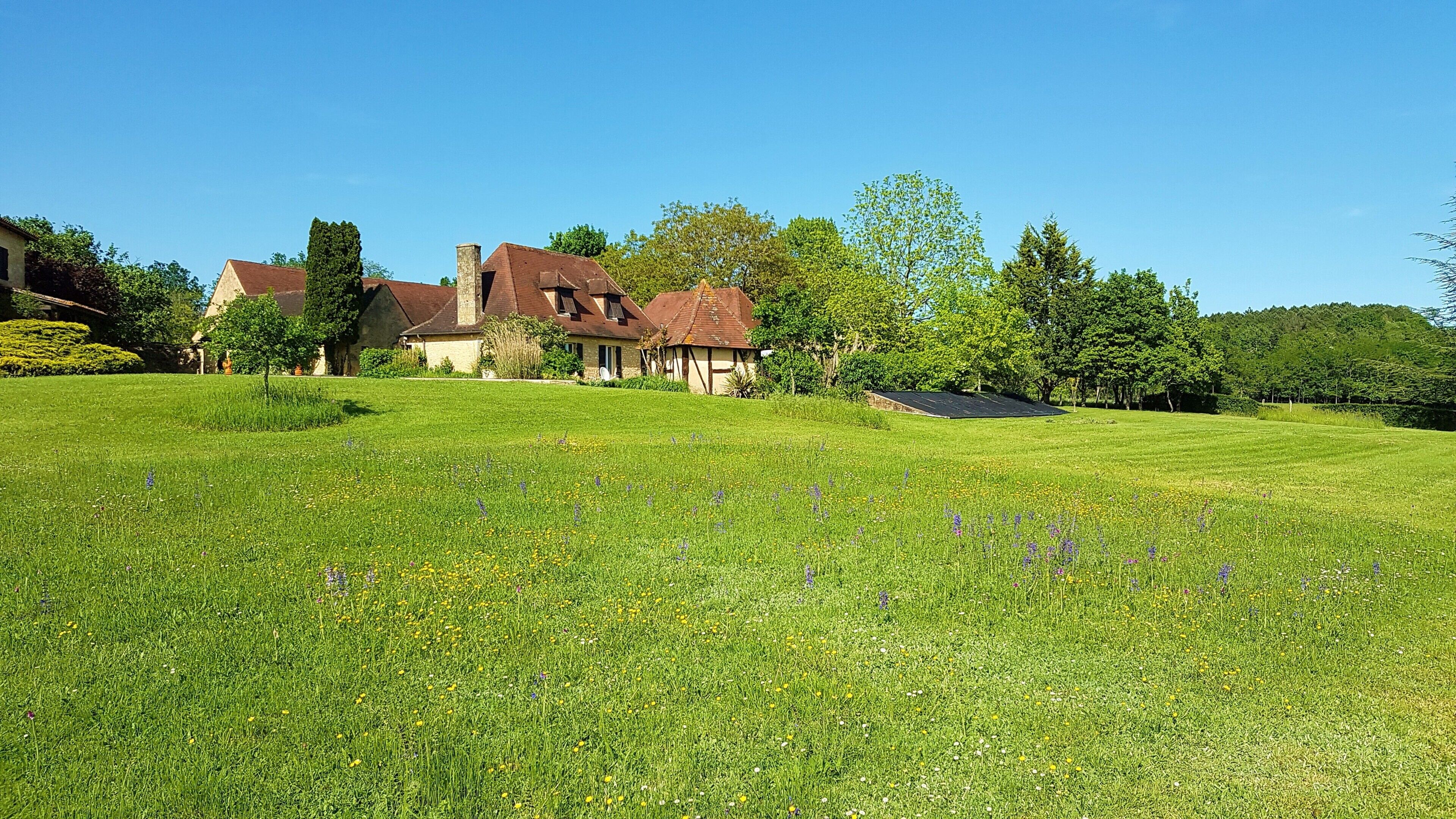 Un vaste champ verdoyant avec une maison en arrière-plan.