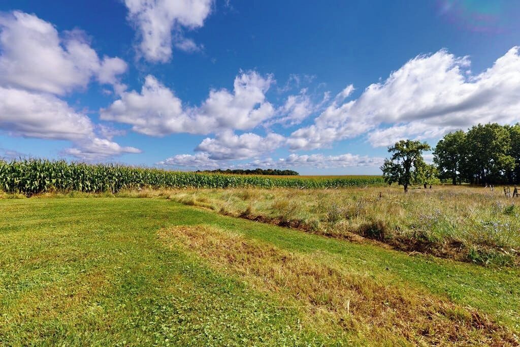 A rural landscape with a field, a cornfield, and trees under a blue sky with clouds.