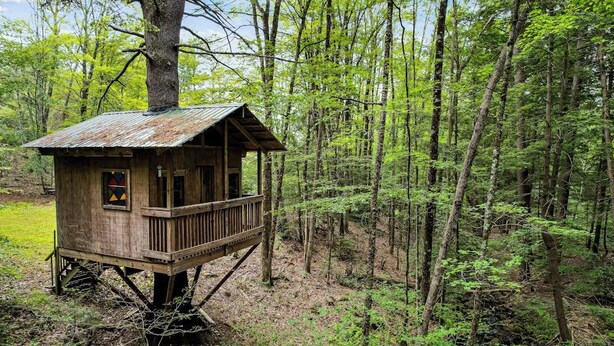 Une cabane en bois perchée dans un arbre, dotée d’un balcon et entourée d’une forêt.