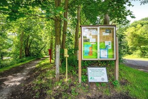 A trail sign in a wooded area with a path leading through.