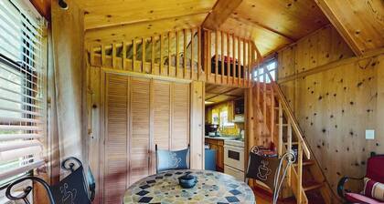 0BR dog-friendly home with firepit, grill, deck