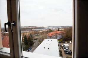 Uitzicht vanuit een raam op een stadsgezicht met gebouwen, een weg en geparkeerde auto's.