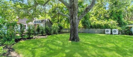 A backyard with a large tree, a lawn, a house, and a fence.