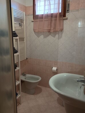 Een badkamer met een bidet, een wastafel, een handdoekrek en een raam met gordijn.