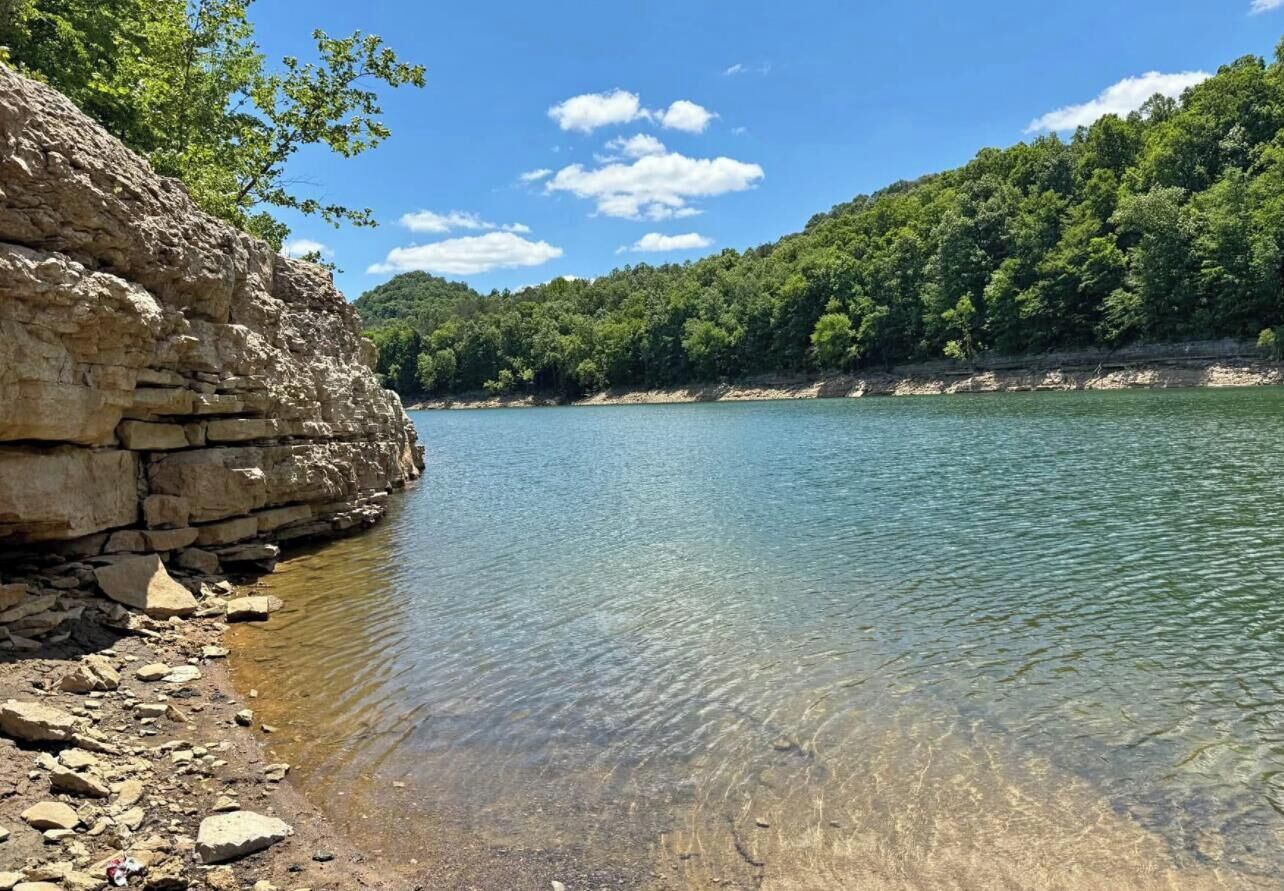 A natural landscape with a clear water body, rocky shore, and dense forest.