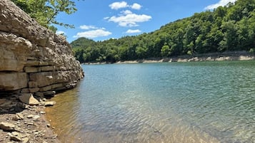 A natural landscape with a clear water body, rocky shore, and dense forest.