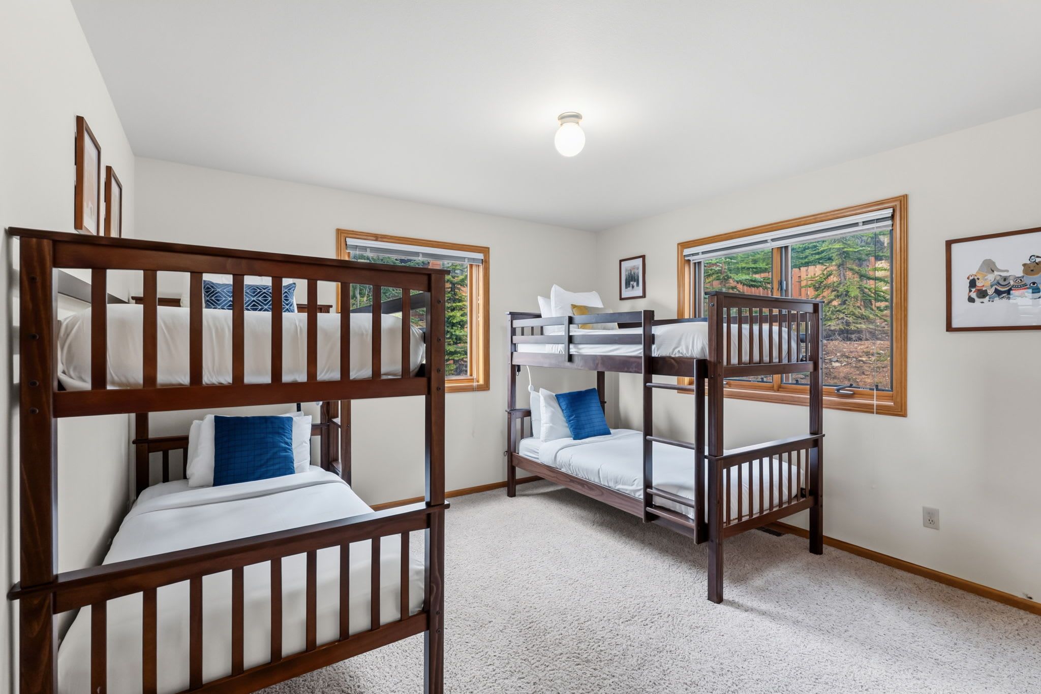 A room with bunk beds, a carpeted floor, and windows with a view of greenery.