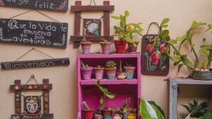 Een muur met diverse borden en plantenpotten.
