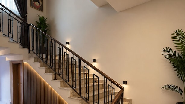 A modern staircase with a wooden handrail, a red carpet at the bottom, and a potted plant on the landing.