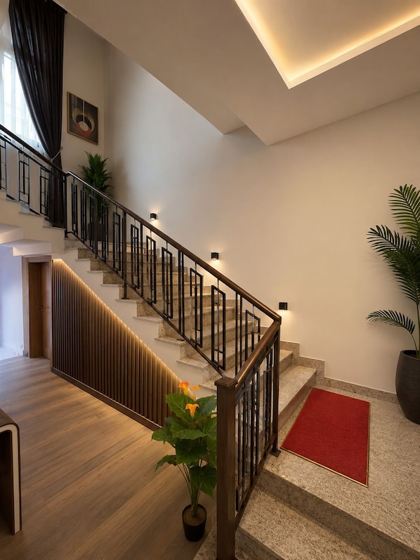 A modern staircase with a wooden handrail, a red carpet at the bottom, and a potted plant on the landing.