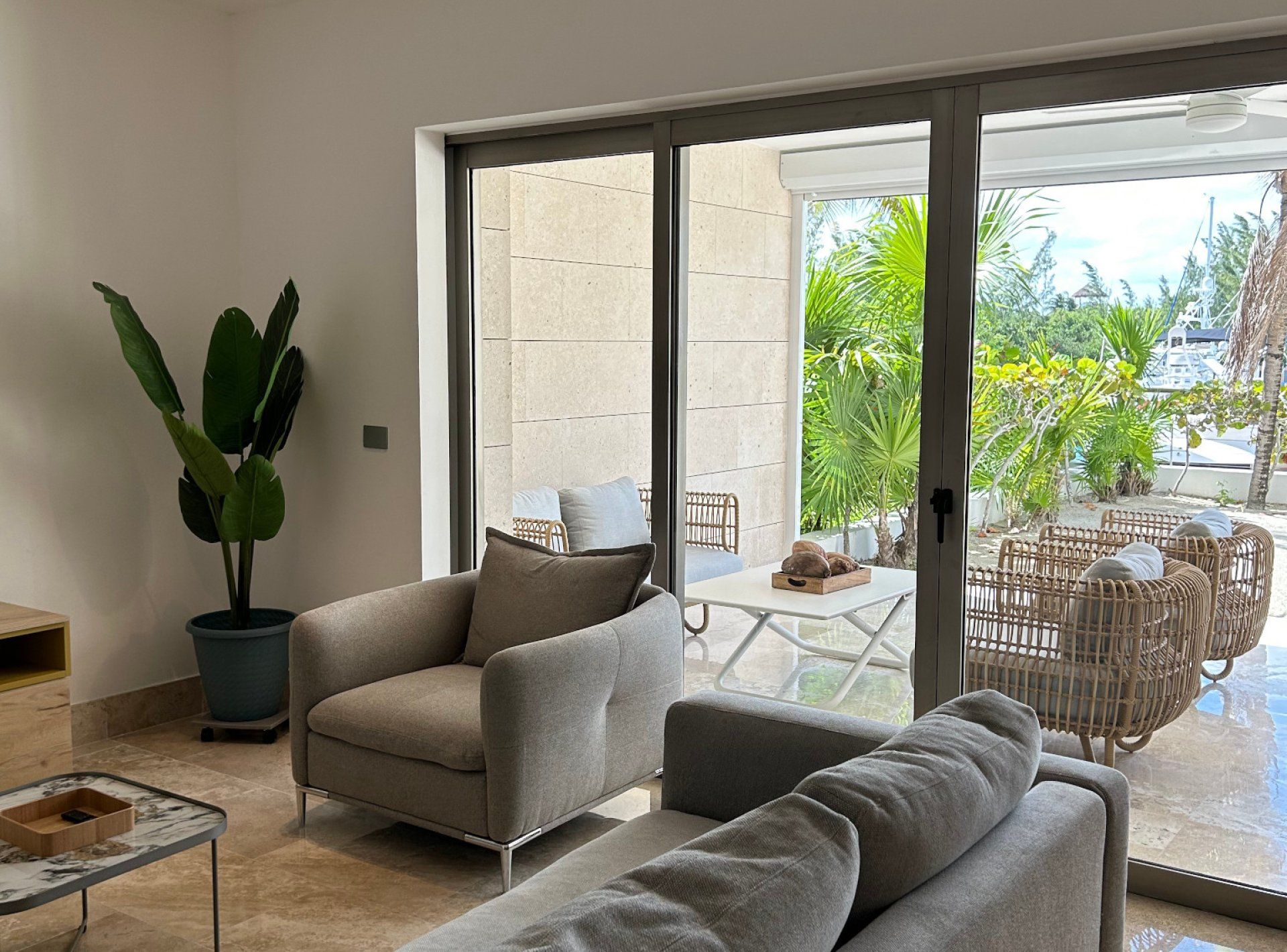 A modern living room with a sofa, armchair, and a potted plant.