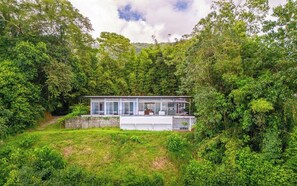 A modern house with a glass facade, surrounded by dense greenery and a stone wall.