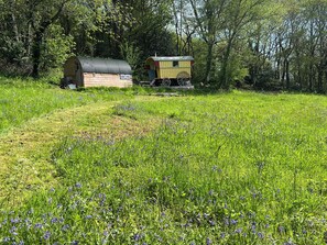 Eine rustikale Holzhütte mit Wellblechdach und einem kleinen angebauten Schuppen, umgeben von einem üppigen, grünen Feld voller Wildblumen.