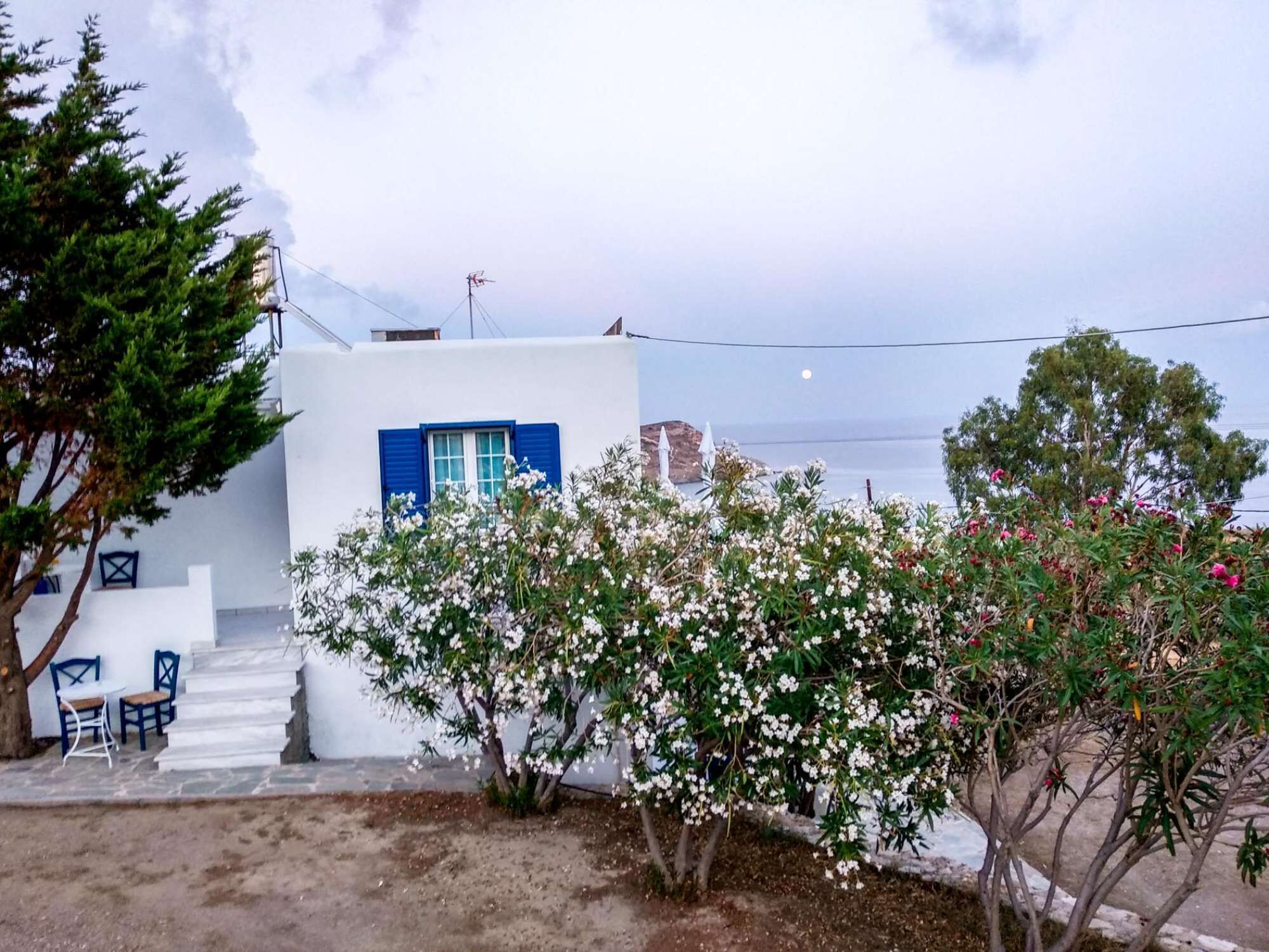 A white building with a blue door and windows, surrounded by flowering bushes and a tree.