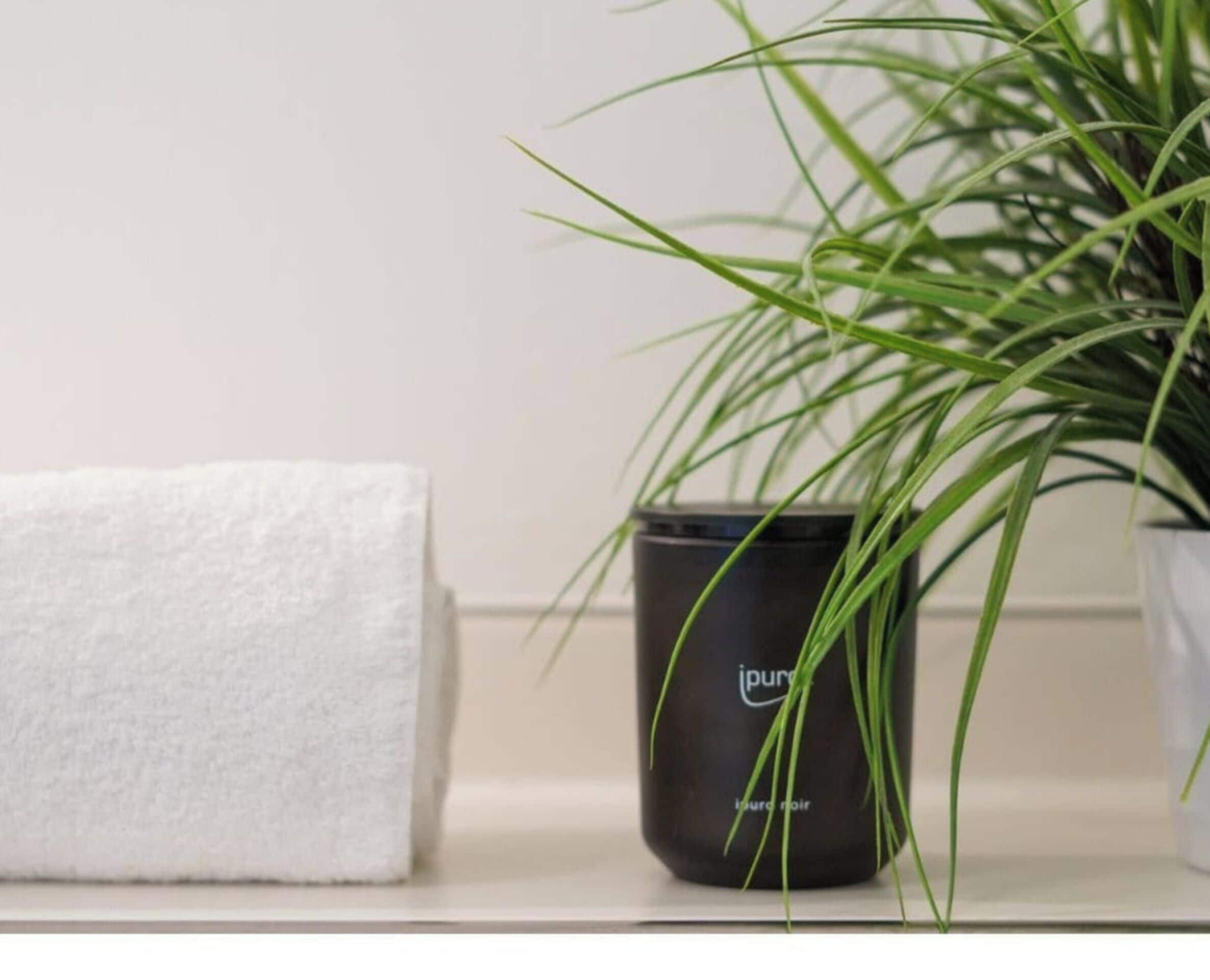 A white towel on a shelf, a black container with 'jungle noir' text, and a green plant.