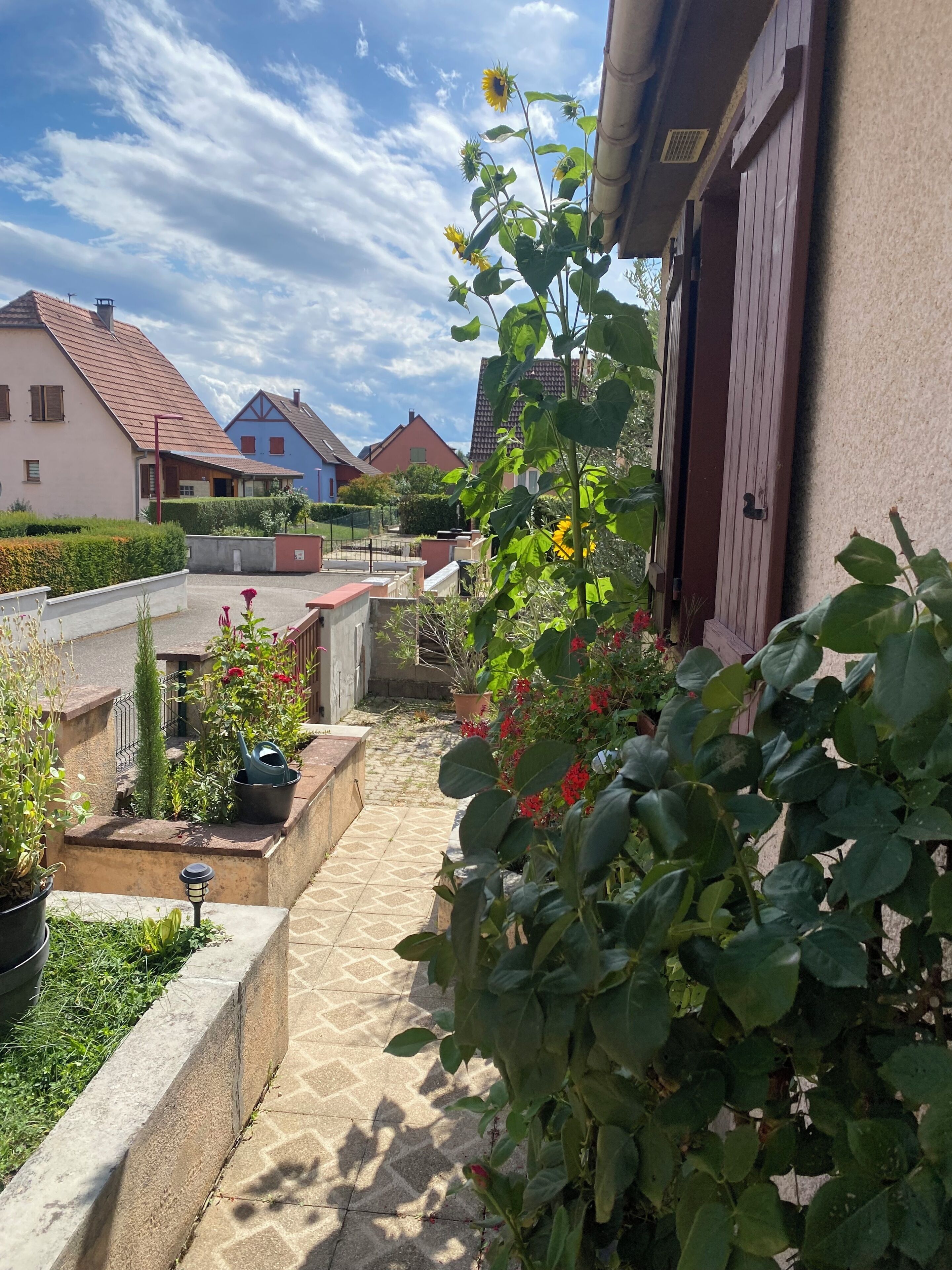 A residential courtyard with a pathway, potted plants, and a variety of flowers.