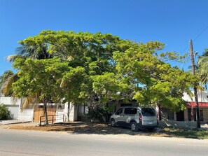 A street scene with a tree-lined sidewalk, a parked car, and buildings in the background. - Peaceful 2-bedroom house with AC in charming Chelem,2 blocks away from the beach (Chelem)