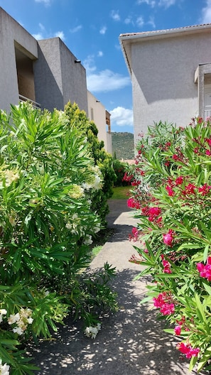 A pathway flanked by lush greenery and vibrant flowers leading to a building with a modern architectural style.