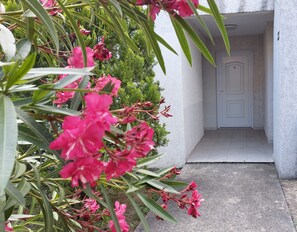 A building with a white exterior, a door marked with the number 50, and a concrete entrance.