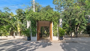 Un camí condueix a l'entrada d'un edifici envoltat de vegetació abundant i plantes en testos.