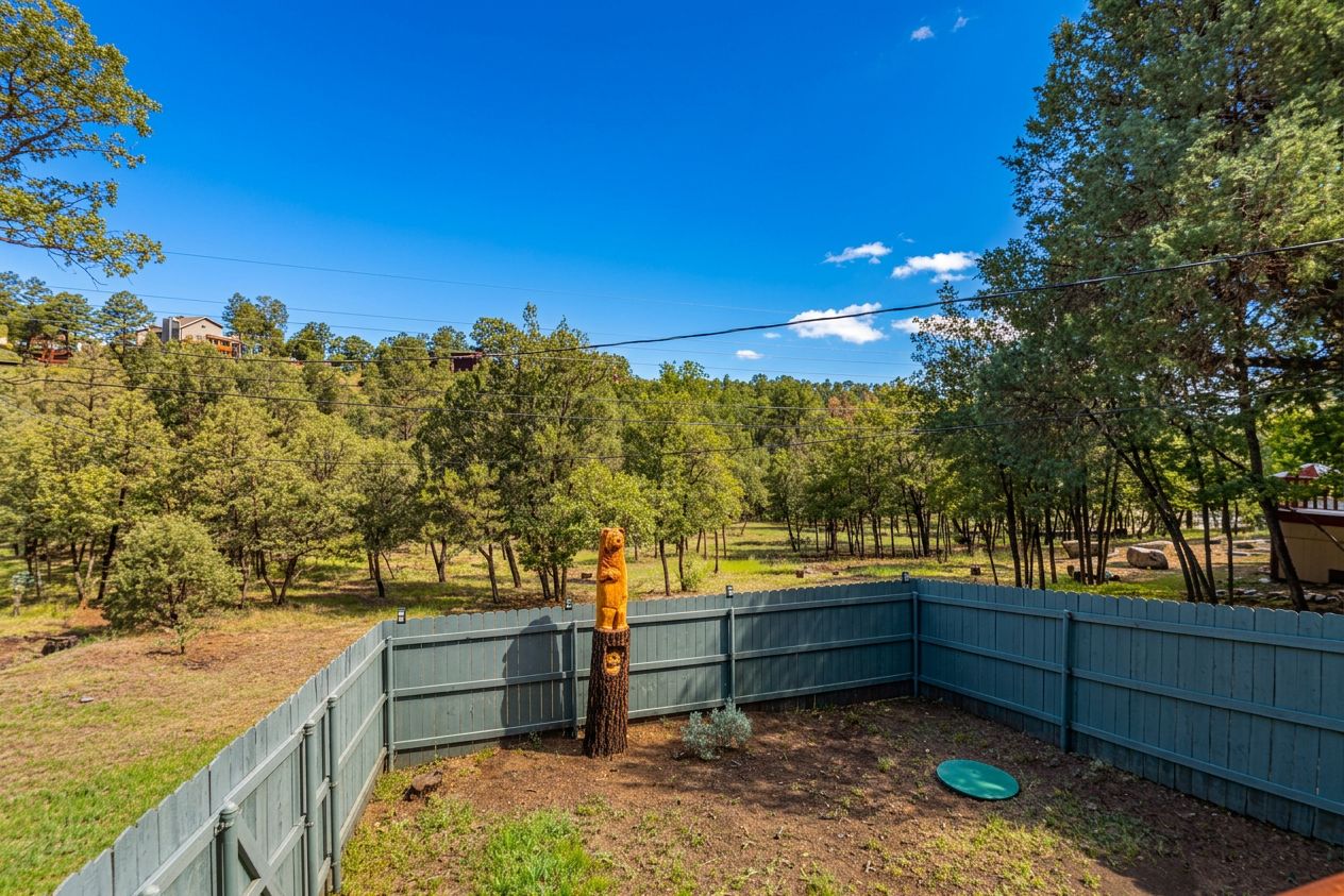 A fenced backyard with a tree stump sculpture, a green frisbee, and a clear blue sky.