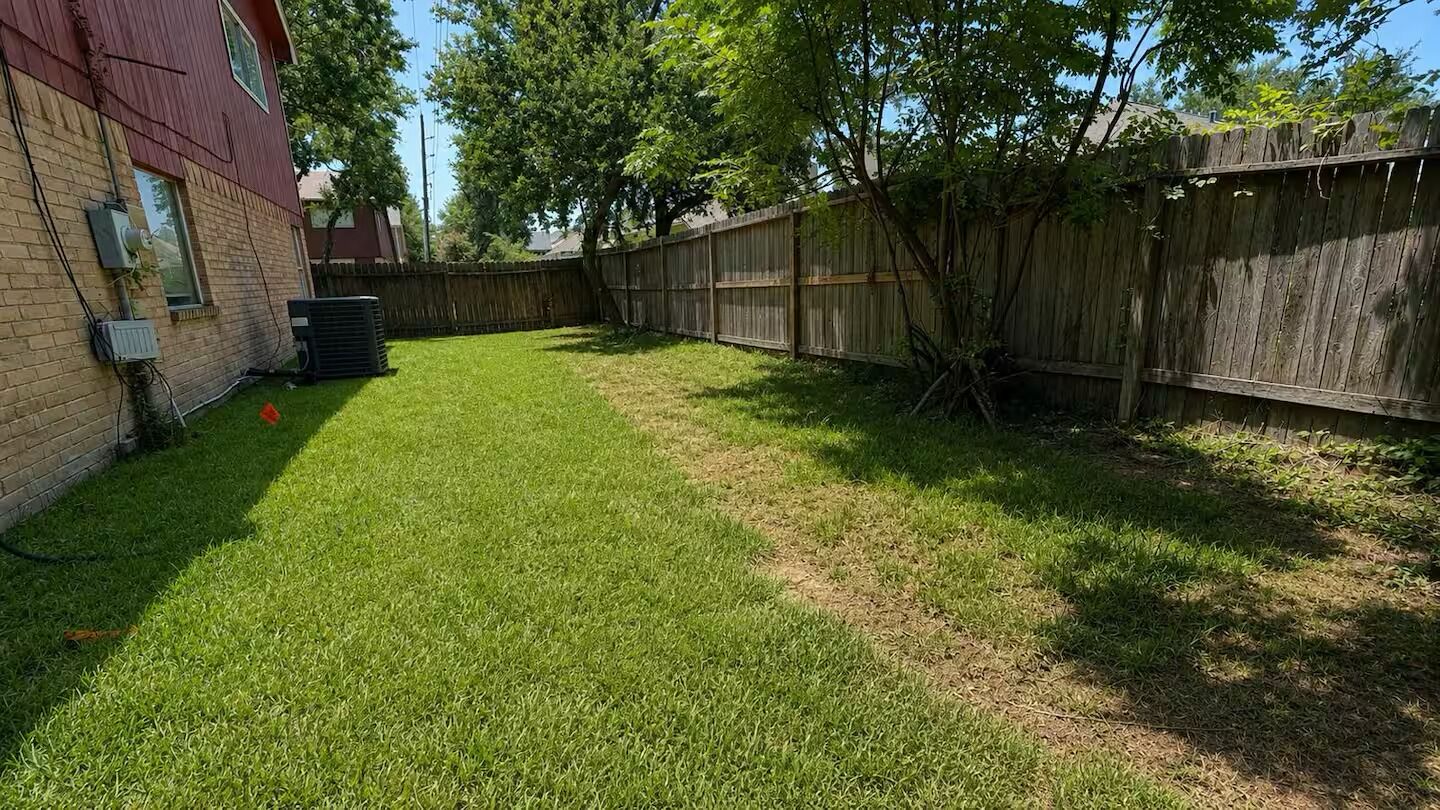 A backyard with a wooden fence, a brick house, and a tree.