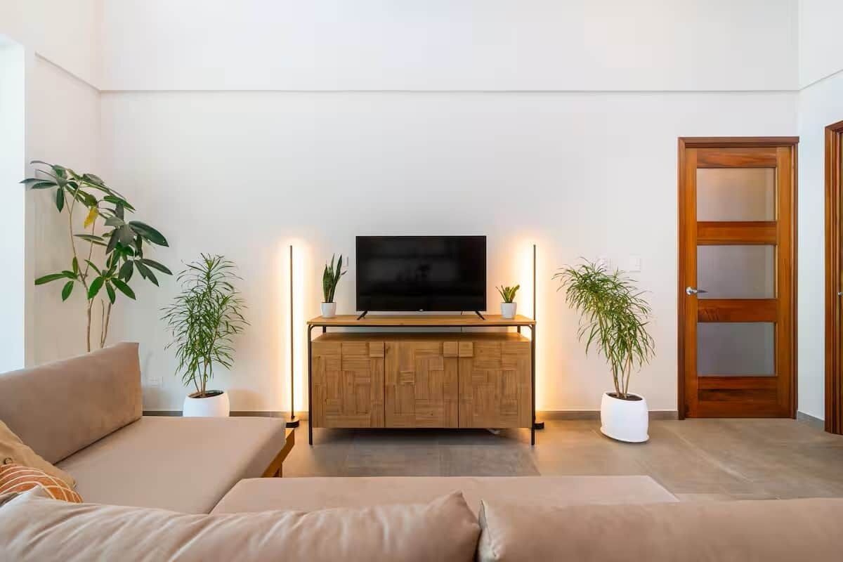 A modern living room with a flat-screen TV on a wooden cabinet, two potted plants, a sofa, and a door.