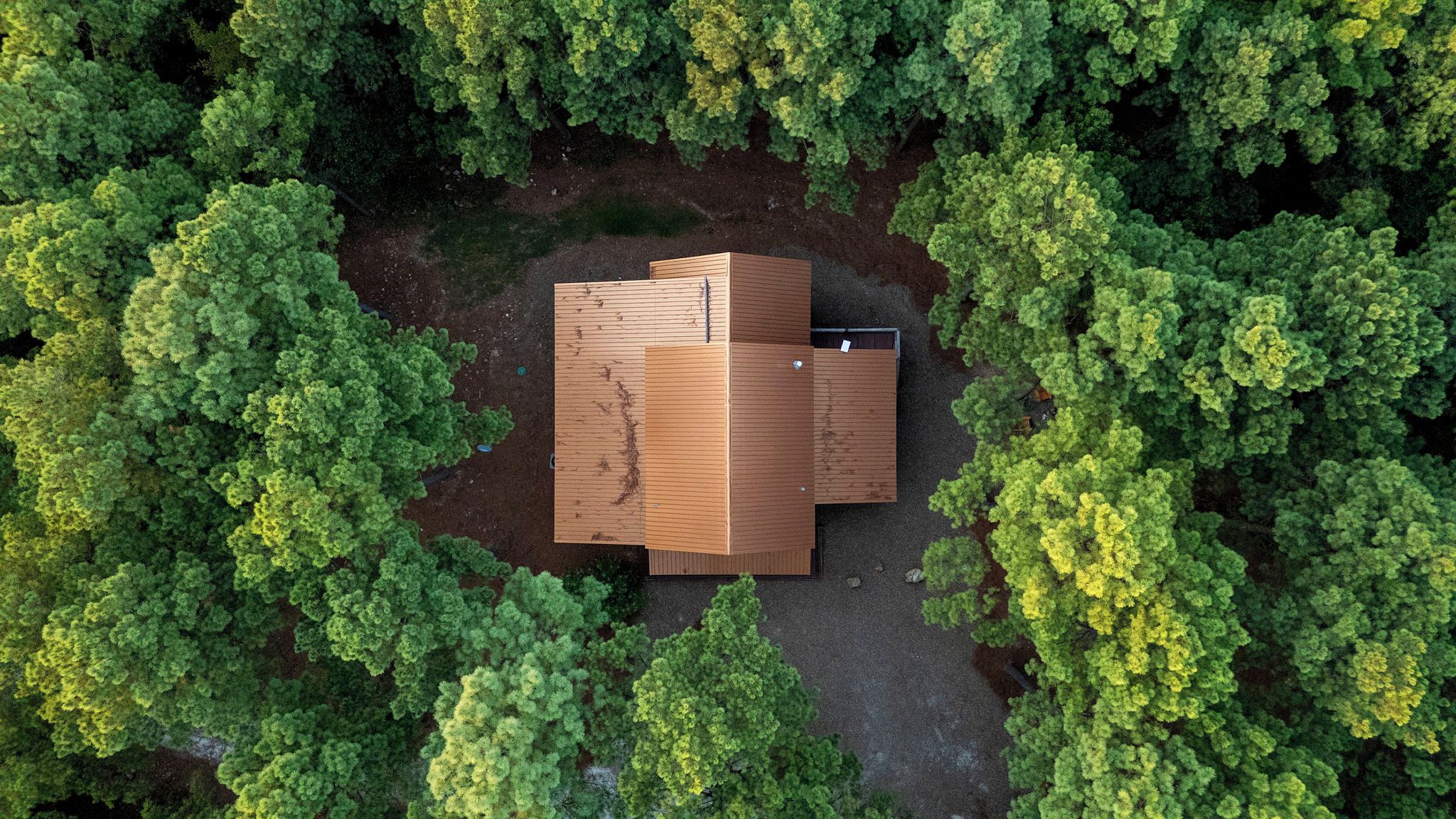 Eine Holzhütte, umgeben von dichtem Wald.