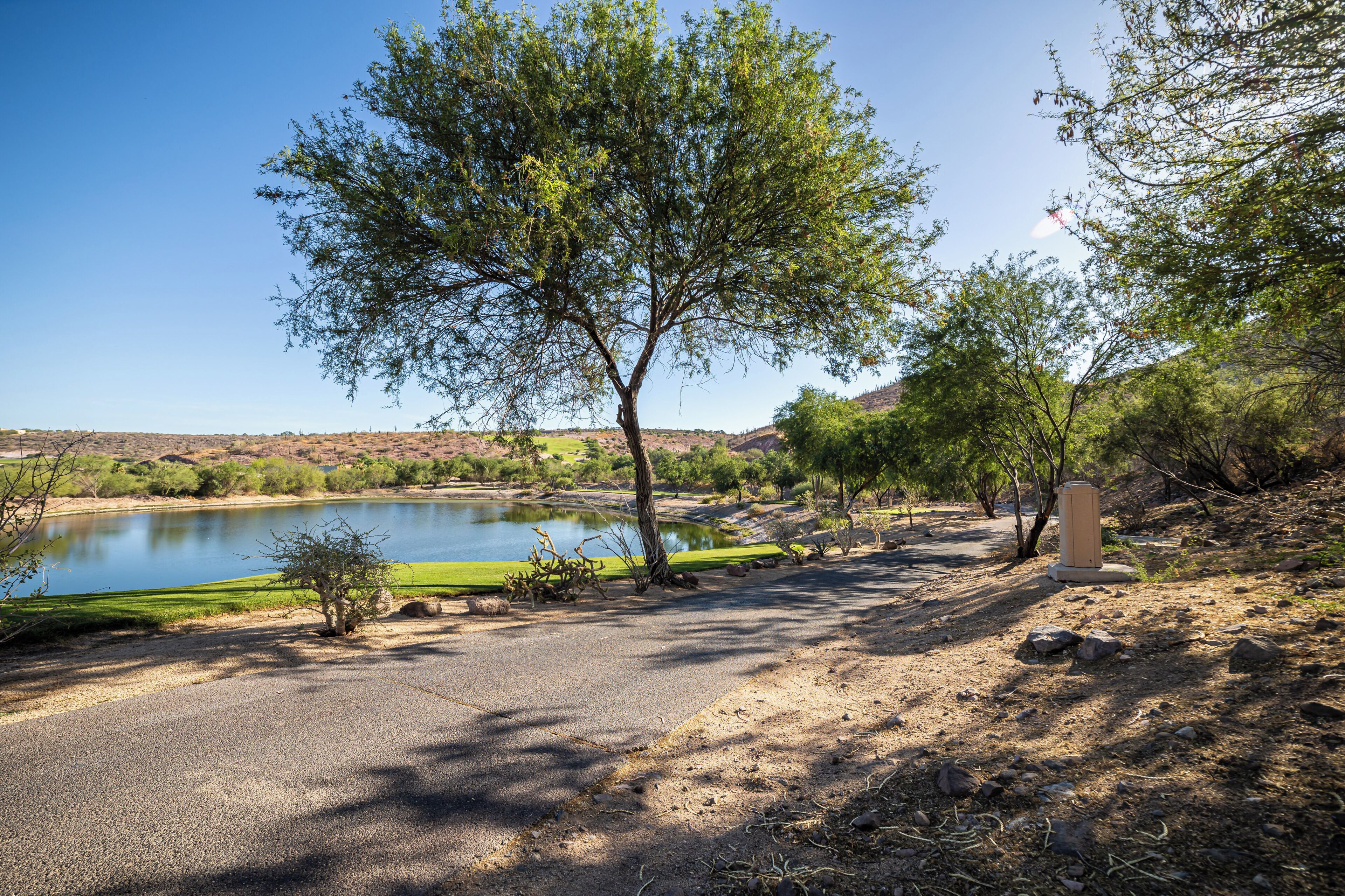 A natural landscape with a lake, trees, and a clear sky.
