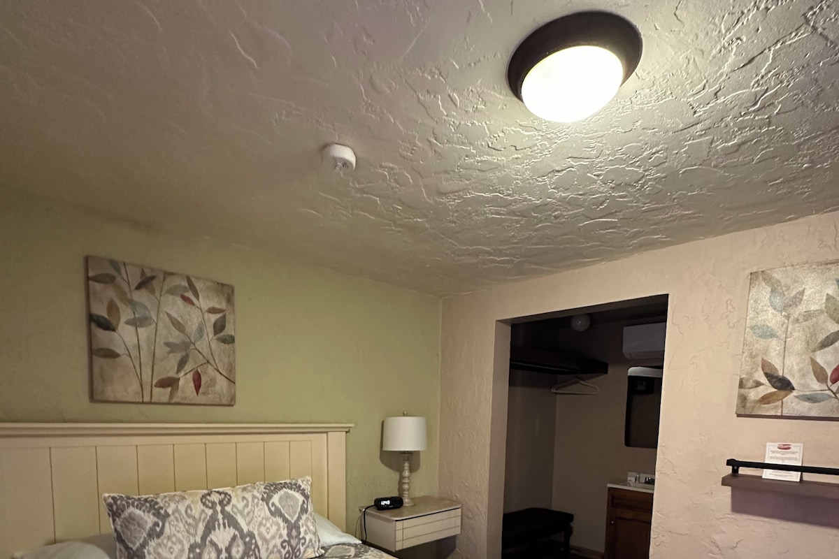 Habitación de hotel con una colcha estampada, una lámpara de noche, una obra de arte en la pared y una luz en el techo.