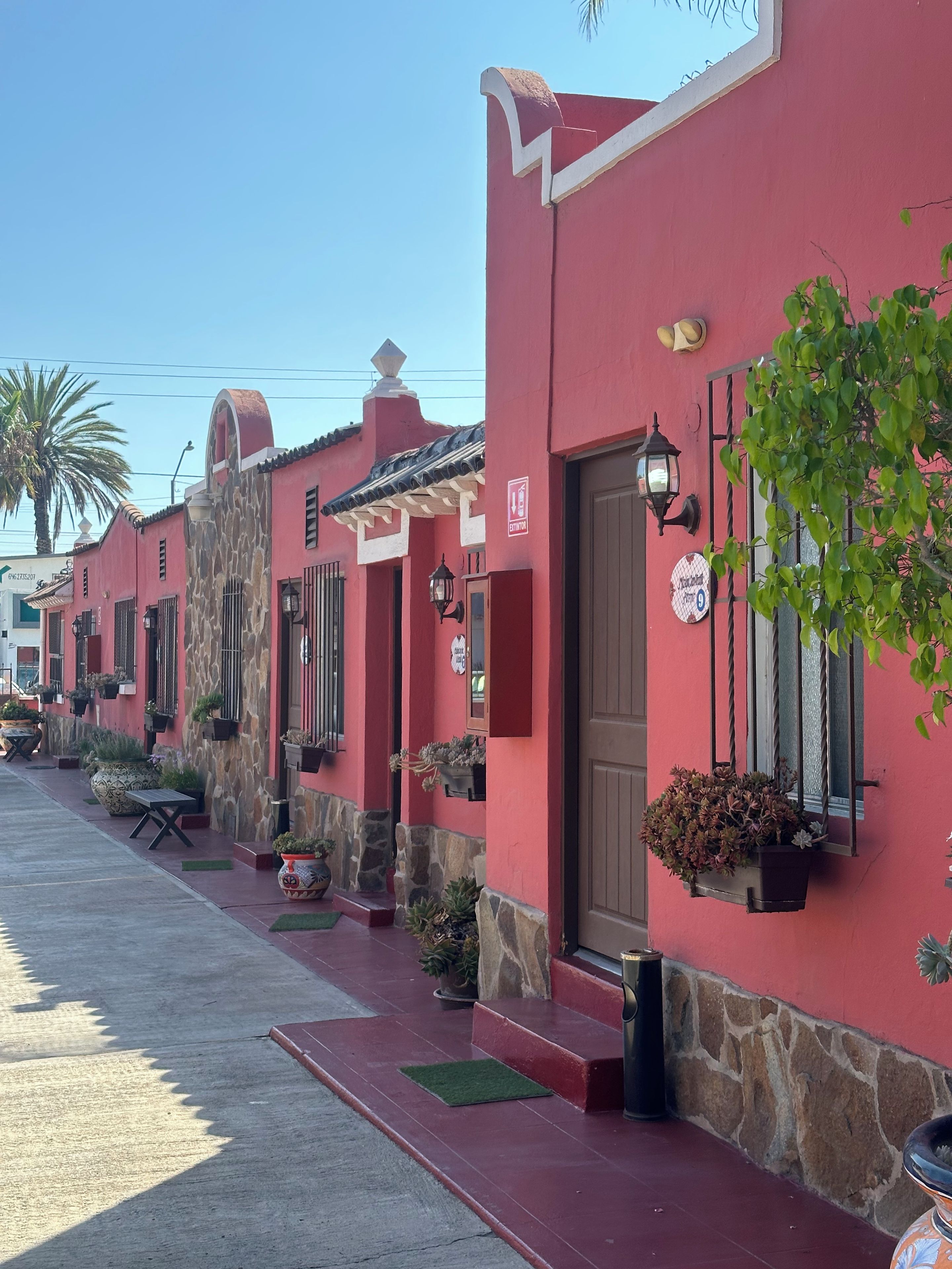A row of red buildings with stone accents, a clear sky, and a palm tree in the background.