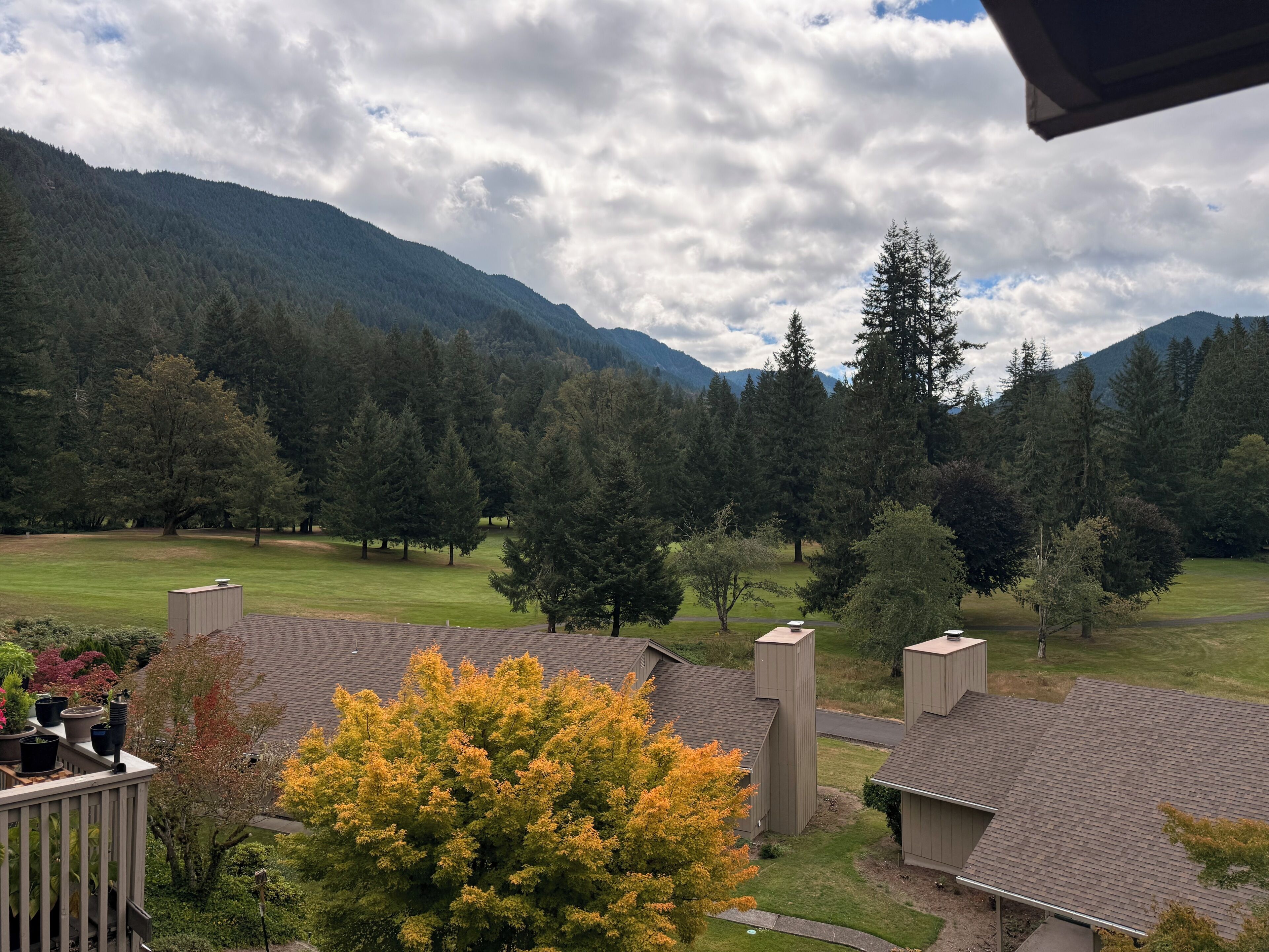 A residential area with houses, a grassy field, and a forested mountain in the background.