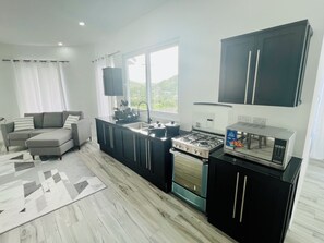 A modern kitchen with a built-in oven, a microwave, and a gas stove. - Modern Diamond View Apartment 1- Close to Rodney Bay & Airport (Gros Islet)