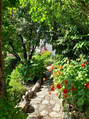A stone pathway surrounded by lush greenery and flowering plants. - Lantana Stone House.
Where the wild thyme scents the stone. (Lemona)