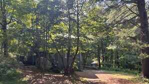 Campeggio in un bosco con una baita, un sentiero sterrato e un tavolo da picnic.