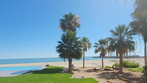 Een strand met palmbomen, een zwembad en een heldere lucht.