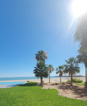 Ein Strand mit Palmen, einem Schwimmbad und wolkenlosem Himmel.