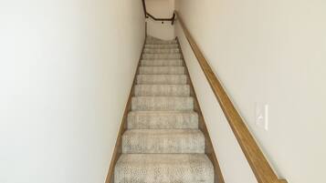 A staircase with carpeted steps and wooden handrails.