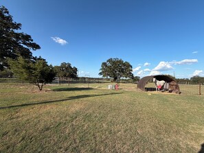 A fenced outdoor area with a horse shelter, trees, and a clear sky.