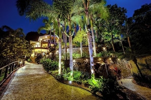 A nighttime view of a resort with a paved pathway leading to a building, surrounded by palm trees and tropical plants.